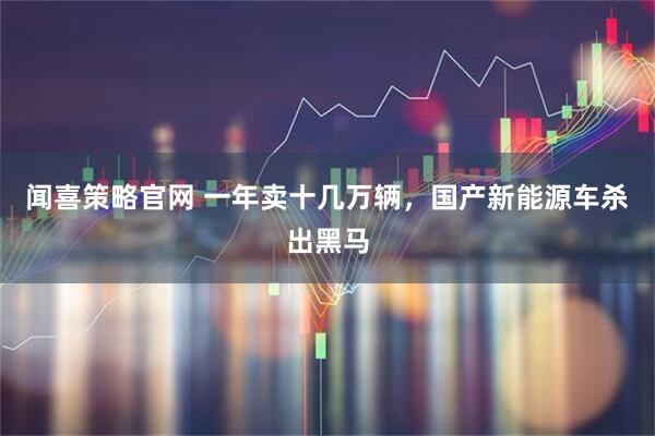 闻喜策略官网 一年卖十几万辆，国产新能源车杀出黑马