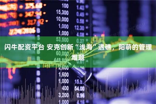 闪牛配资平台 安克创新“浅海”遇礁，阳萌的管理难题