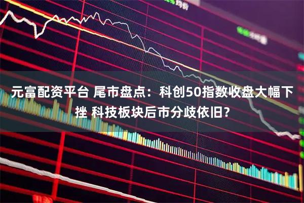 元富配资平台 尾市盘点：科创50指数收盘大幅下挫 科技板块后市分歧依旧？
